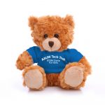 stuffed teddy bear with blue tshirt AAUW Tech Trek - STEM Camp for Girls